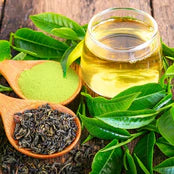 Tea Extract